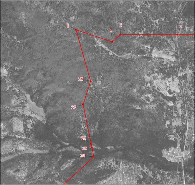 Закон Красноярского края от 11.02.2021 N 11-4758 "О внесении изменений в Закон края "Об установлении границ муниципального образования поселок Кедровый и наделении его статусом городского округа"